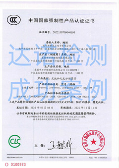 南宁市新达士电子有限公司自动卷发棒3C认证证书